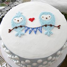 Baby Shower Owls